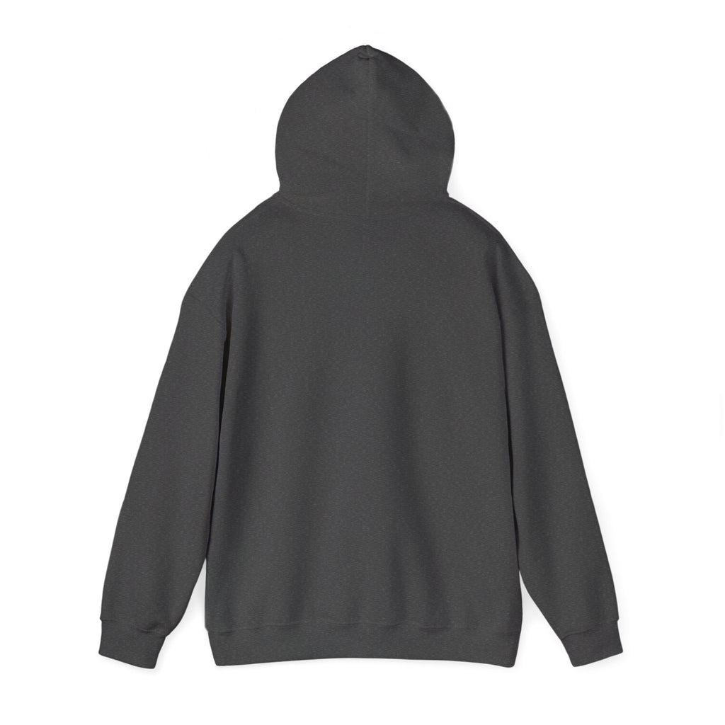 Indiana National Champions 2025 Hoodie — Retro Football Emblem