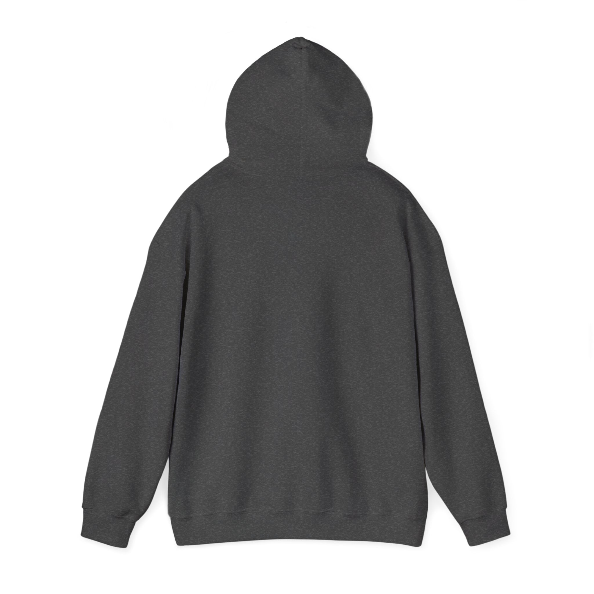 Indiana National Champions 2025 Hoodie — Retro Football Emblem