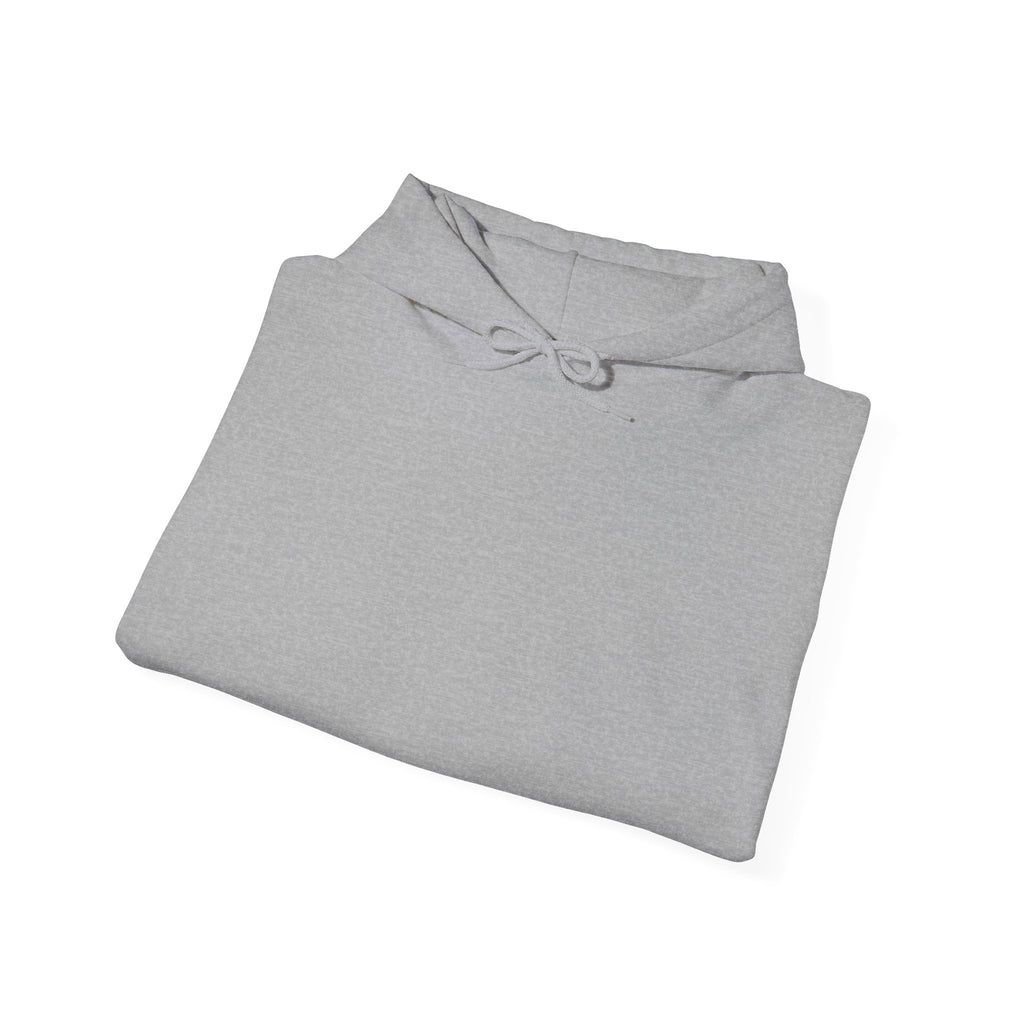 Ohio 1803 Basketball Logo Hoodie — State Pride Sports Pullover