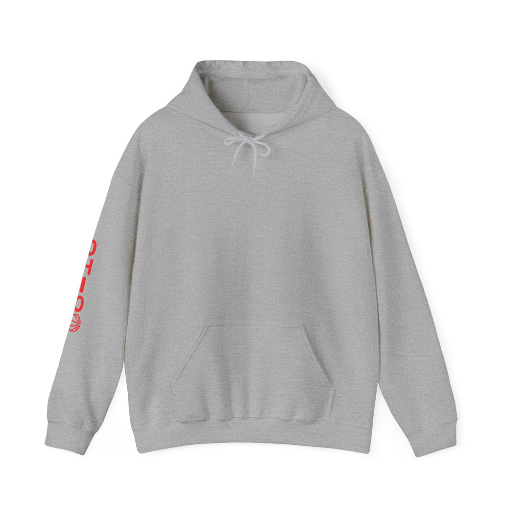 Ohio 1803 Basketball Logo Hoodie — State Pride Sports Pullover