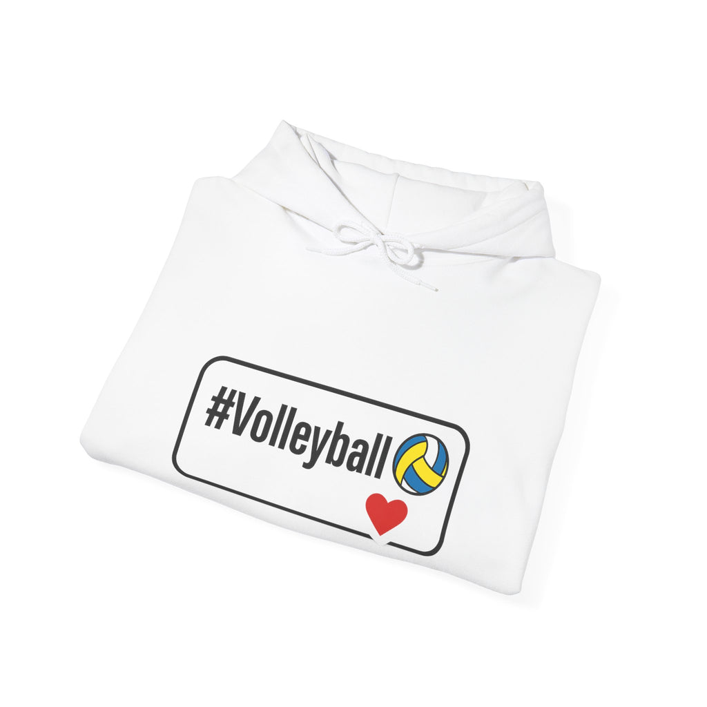 Volleyball Heavy Blend Hoodie