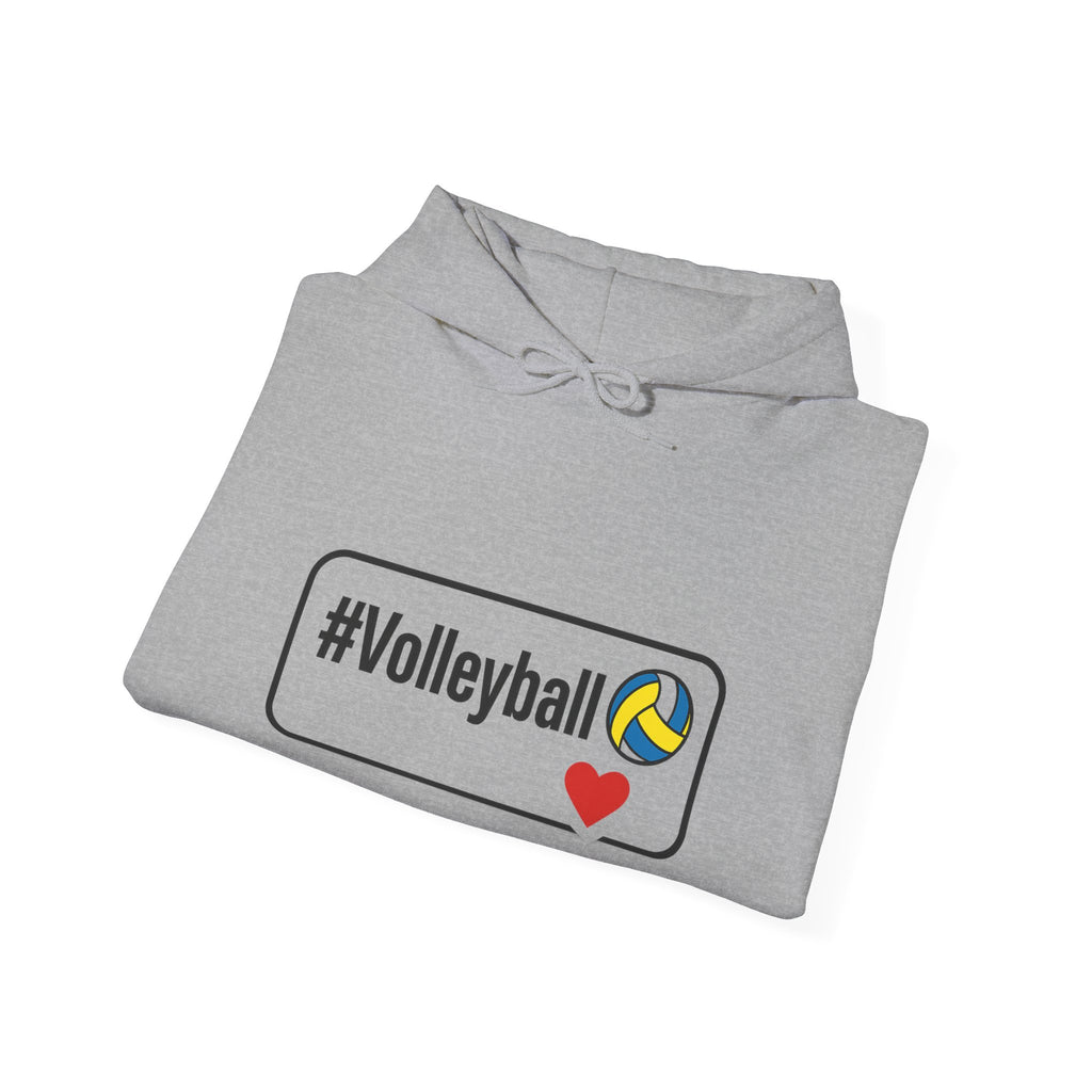 Volleyball Heavy Blend Hoodie