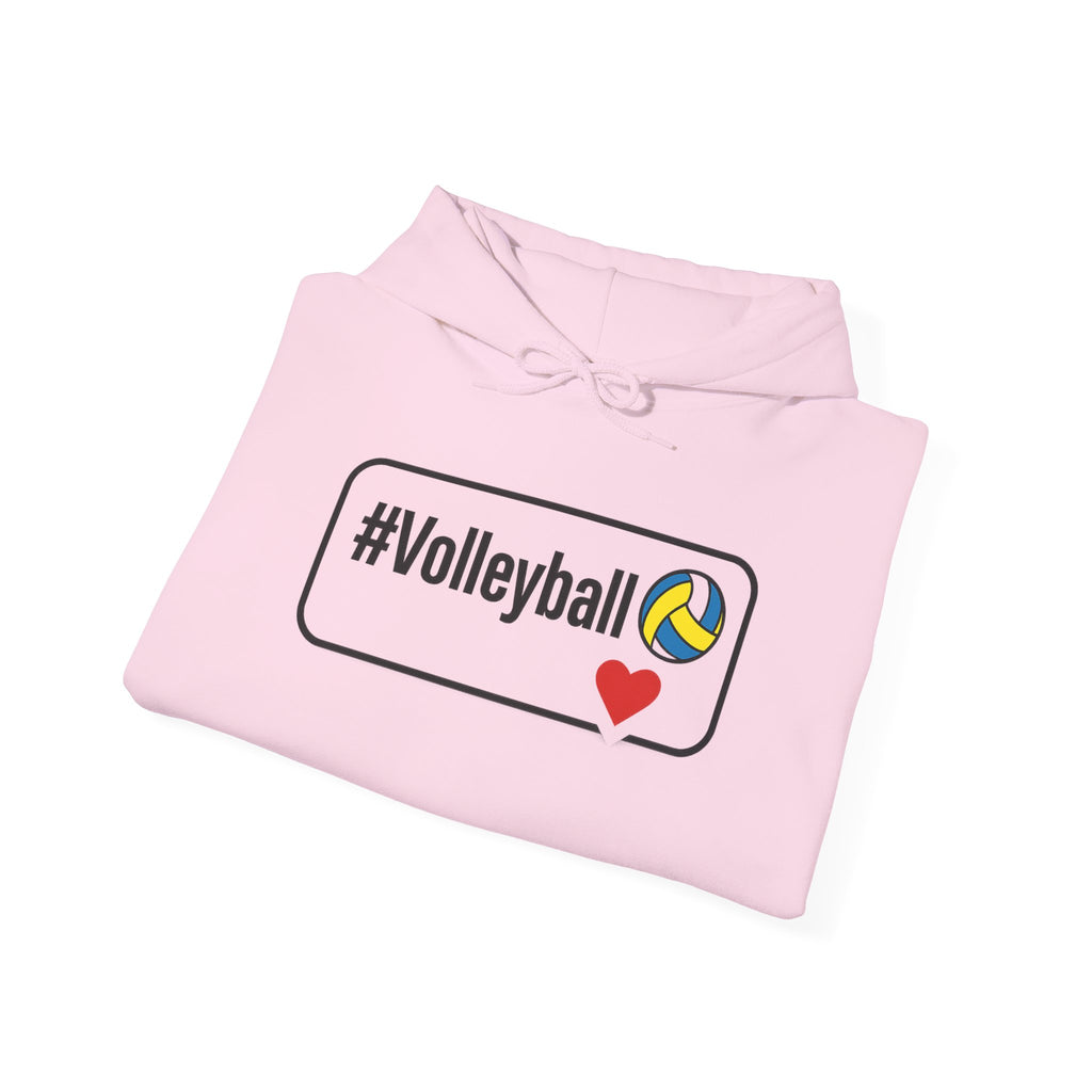 Volleyball Heavy Blend Hoodie