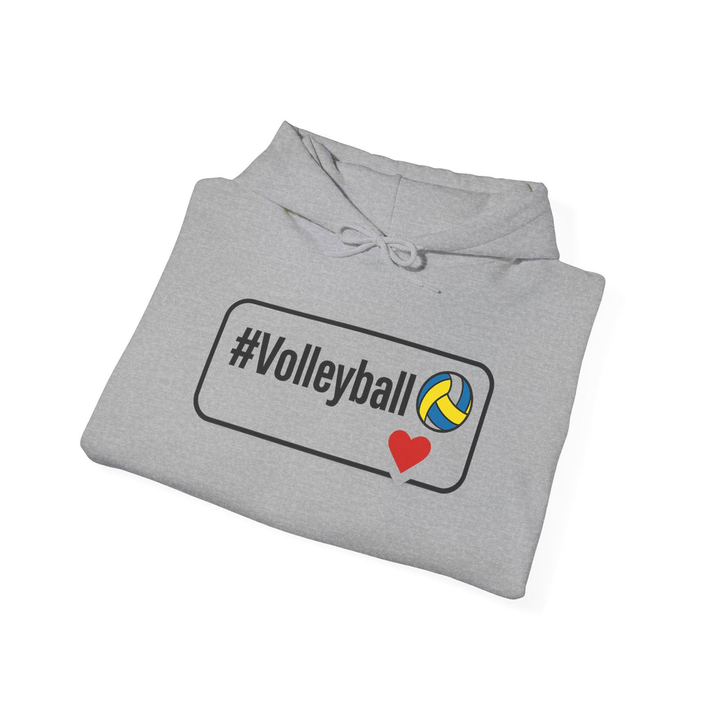 Volleyball Heavy Blend Hoodie