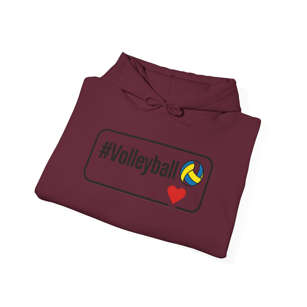 Volleyball Heavy Blend Hoodie