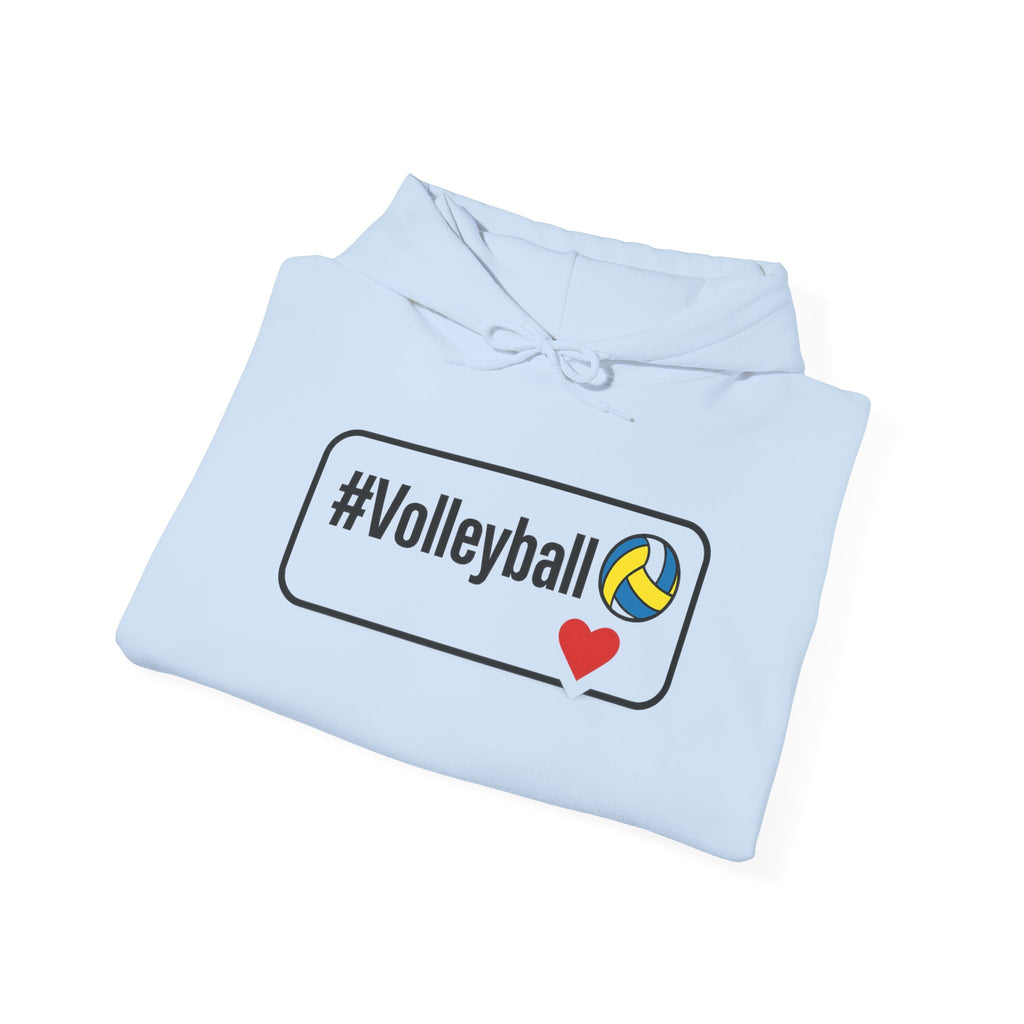 Volleyball Heavy Blend Hoodie