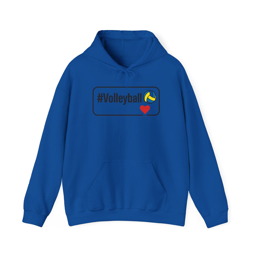 Volleyball Heavy Blend Hoodie